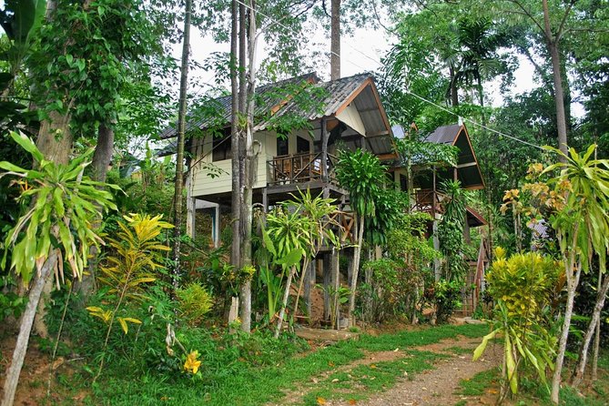 1 Day Khao Sok Jungle Safari and 2 Days Cheow Lan Lake Explorer from Krabi - Guides, group size, and the human side of the trip