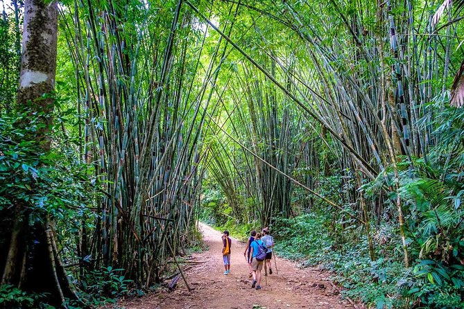 1 Day Khao Sok Jungle Safari and 2 Days Cheow Lan Lake Explorer from Krabi - Who should book this Khao Sok trip?