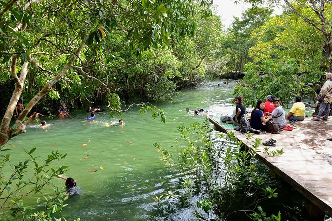 1 Day Khao Sok Jungle Safari and 2 Days Cheow Lan Lake Explorer from Krabi - The first night: jungle bungalow, river time, and forest paths