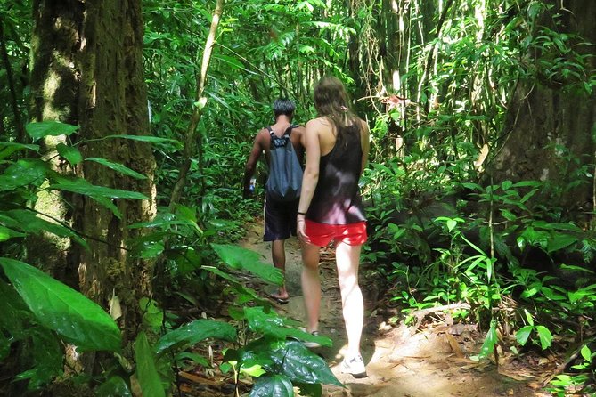 2-Day Khao Sok Jungle Safari from Krabi - The drive from Krabi and the first freshwater stop