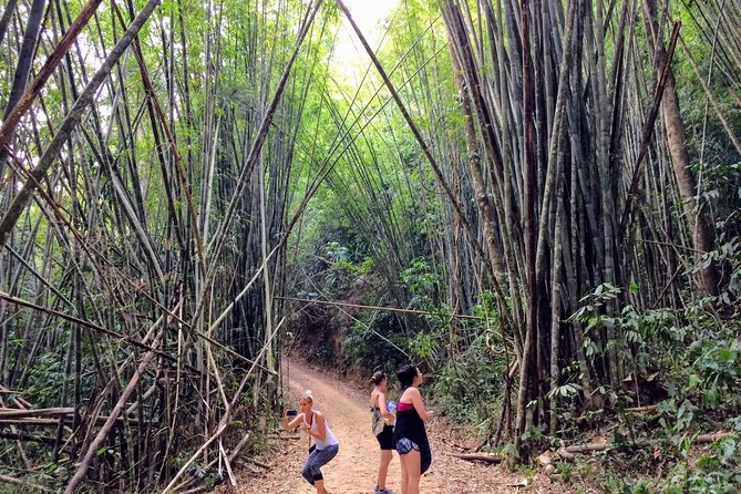 2-Day Khao Sok Jungle Safari from Krabi - Lunch, the bungalow, and the first taste of the forest
