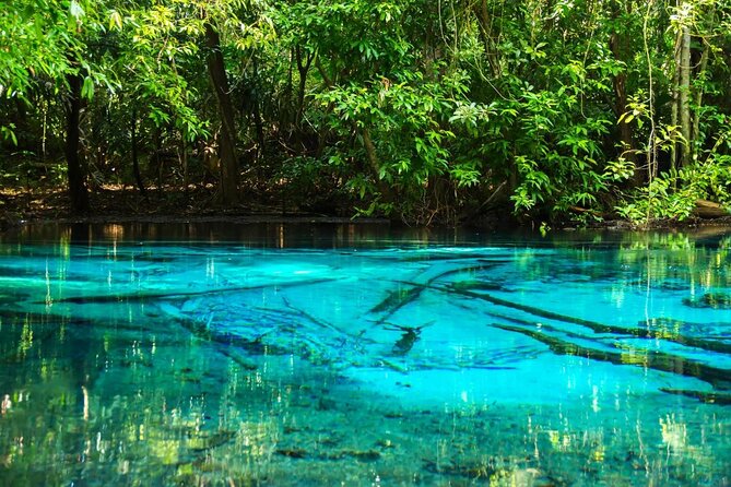 All day Krabi Jungle Tour (Hot Spring Water, Emerald Pool, Tiger Cave Temple) - First stop: one hour at the Hot Spring Waterfall