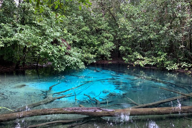 All day Krabi Jungle Tour (Hot Spring Water, Emerald Pool, Tiger Cave Temple) - Who should book this tour?
