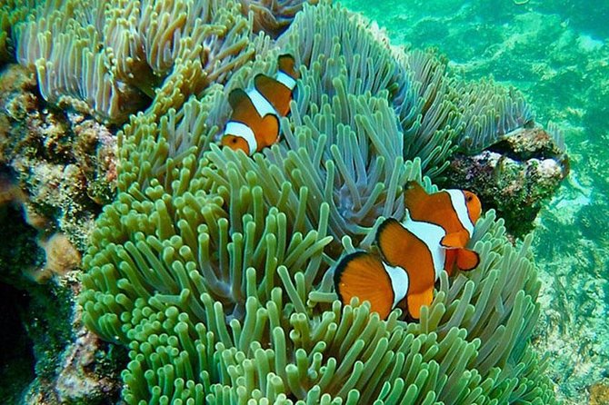 Amazing Krabi 7 Islands One Day Snorkeling Tour By Big Longtail Boat - What the $39.09 price really covers