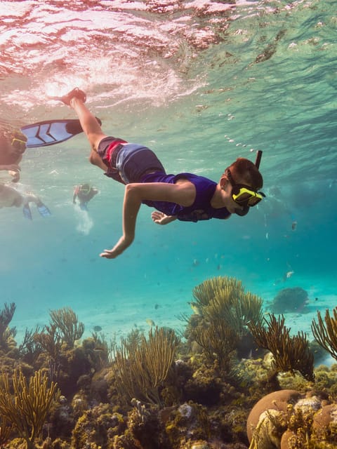 Ao Nang: 4 Islands Day Tour by Speedboat or Longtail Boat - What the guides add to the day