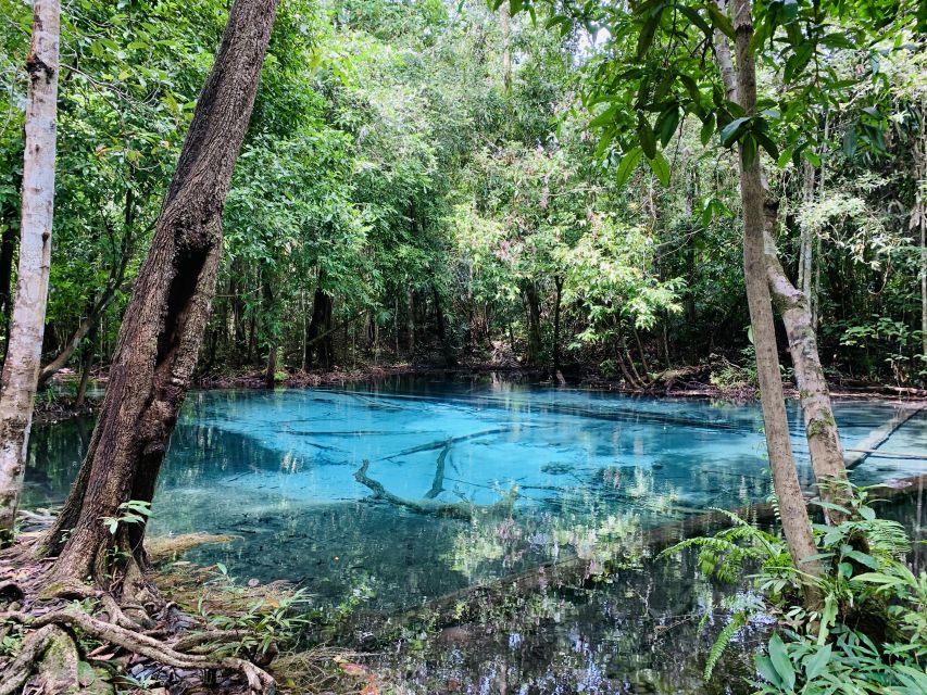 Ao Nang: Hot Spring, Emerald Pool & Tiger Cave Temple Tour - A Thai lunch that keeps the day moving