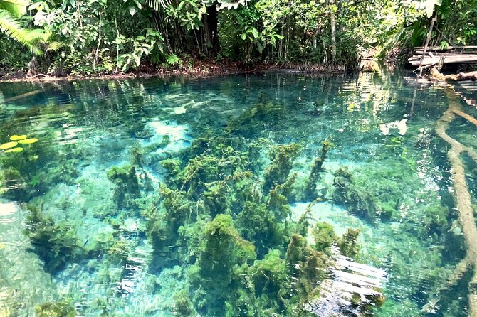 Ao Nang Kayaking at Klong Rud with Hotel Transfer - Why Khlong Nam Sai makes this short trip worthwhile