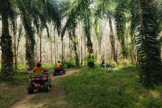 ATV Jungle Adventure in Krabi with Roundtrip Transfer - The 30-minute ride compared with the one-hour route