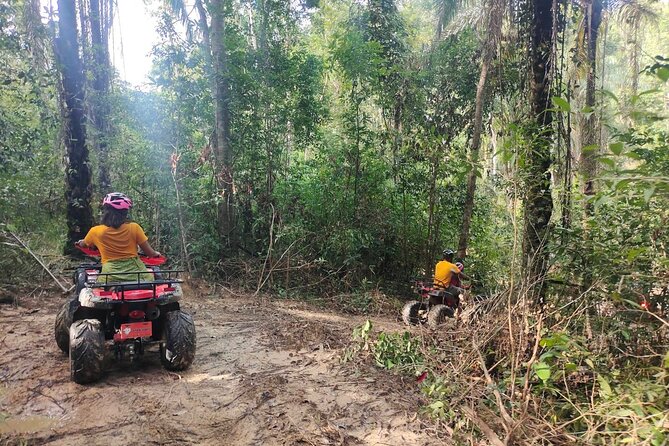 ATV Jungle Adventure in Krabi with Roundtrip Transfer - What the jungle trail is really like