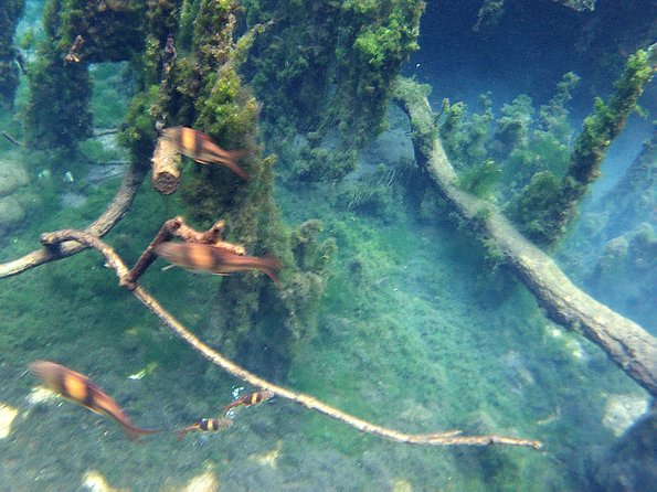 ATV & Kayaking in Hidden Freshwater Lagoon, Unseen Krabi Half Day Trip - Who will enjoy this Krabi half-day trip
