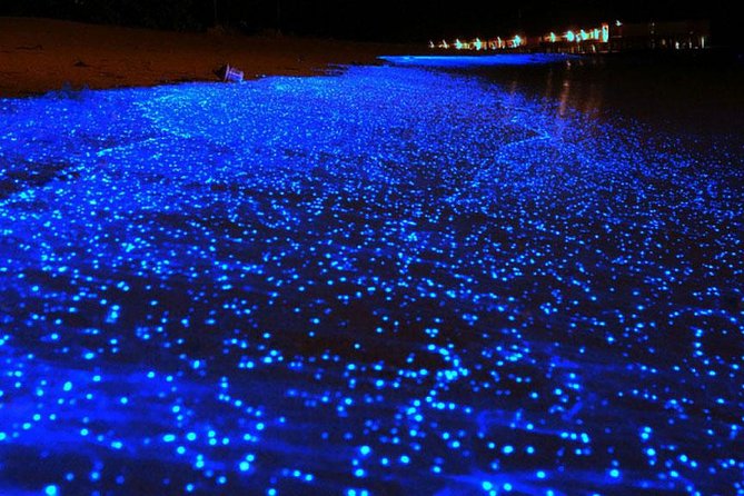 Bio Luminescent Swimming From Krabi - Poda Island gives you beach time