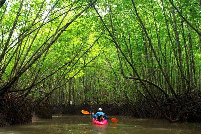 Deep Mangrove and Canyon Kayak Tour in Krabi - Why this side of Krabi feels different