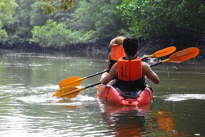 Deep Mangrove and Canyon Kayak Tour in Krabi - What the $42.35 price includes