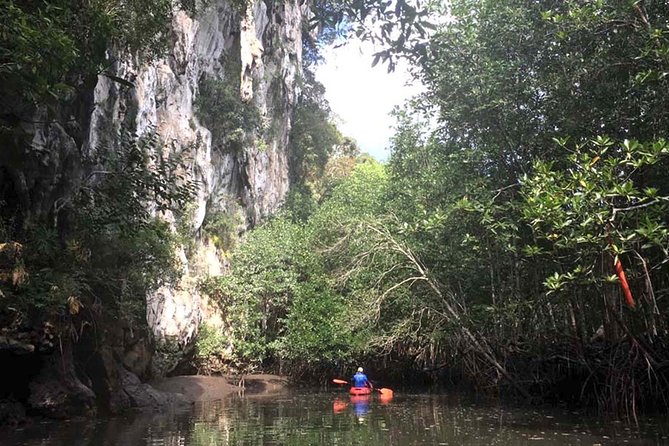 Deep Mangrove and Canyon Kayak Tour in Krabi - The first crossing takes the most effort