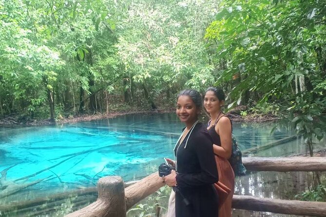 Discover Krabi - Emerald Pool, Hot Springs & Tiger Cave Temple - Emerald Pool and the forest walk