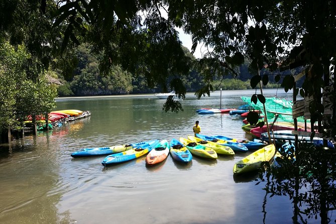 Early bird kayak adventure at AO Thalane - Group size, fitness, and the practical side