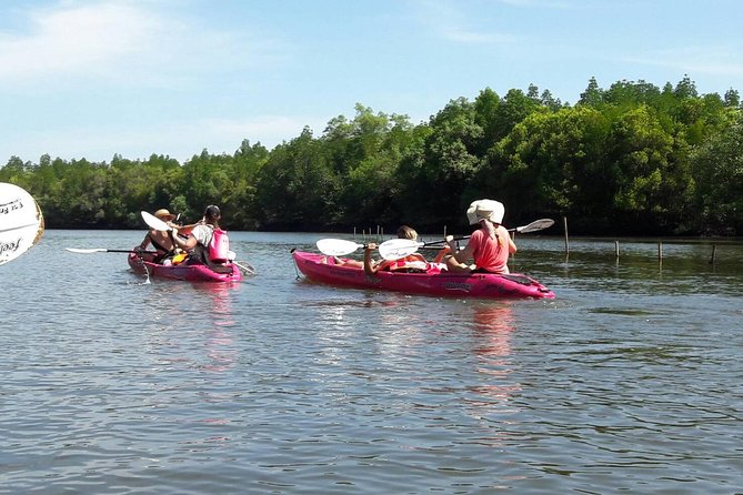 Early bird kayak adventure at AO Thalane - From Kayak Point Ao Thalane to the mangrove channels