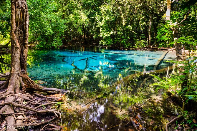 ECO Premium Jungle Hot Springs and Temple Tour - Thai lunch at a local restaurant