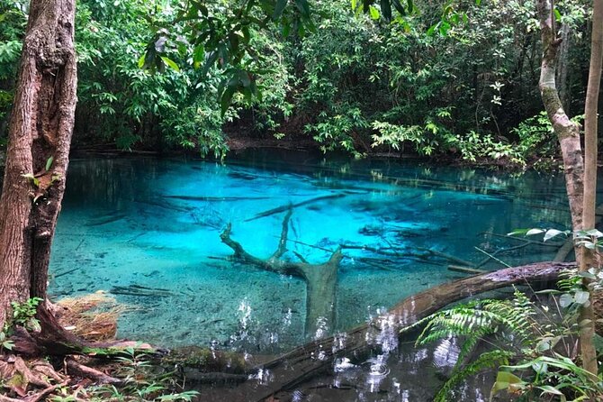 Emerald Pool: Jungle Tour, Private Full Day with Lunch - Why this private Krabi day works well