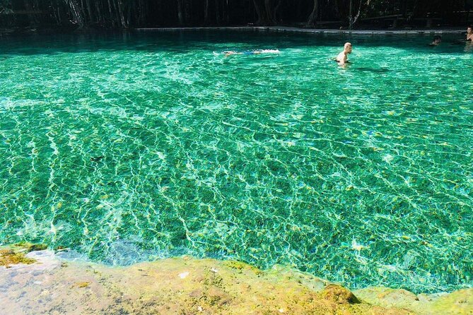 Emerald Pool: Jungle Tour, Private Full Day with Lunch - Is $170.23 per person good value?