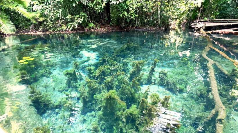 From Ao Nang: Kayaking at Klong Rud with Hotel Transfers - Friendly guides and the real level of effort