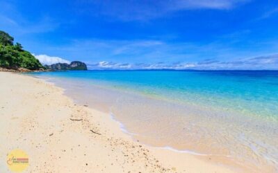 Phi Phi Islands Day Tour by Boat with Lunch