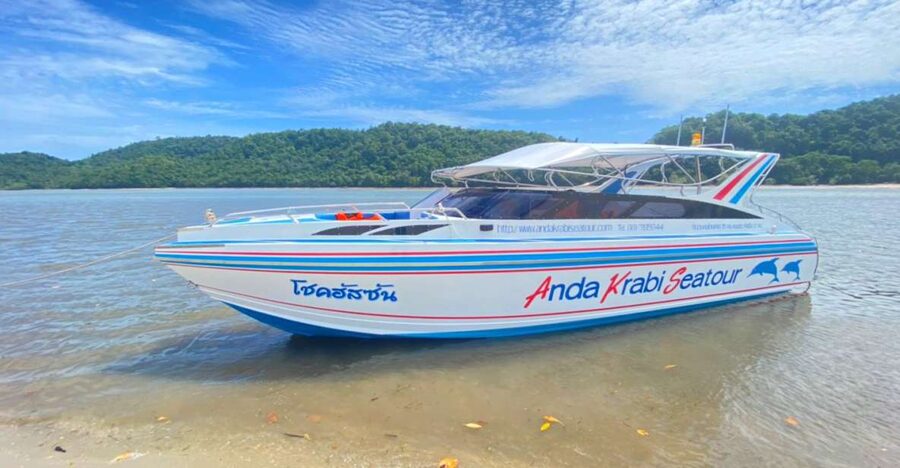 From Krabi: Phi Phi Island Full-Day Private Speed Boat Tour - Tonsai Bay, picnic time, and your Phi Phi Don choice