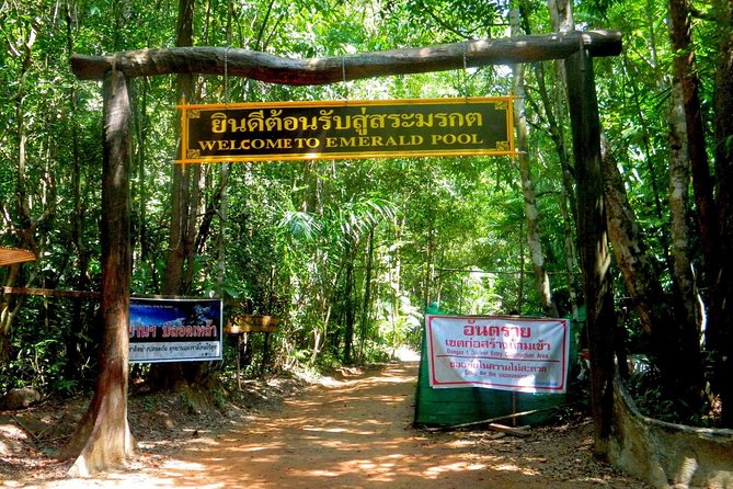 Full-Day Jungle Tour Including Tiger Cave Temple, Crystal Pool and Krabi Hot Springs - Tiger Cave Temple and its 1,237 steps