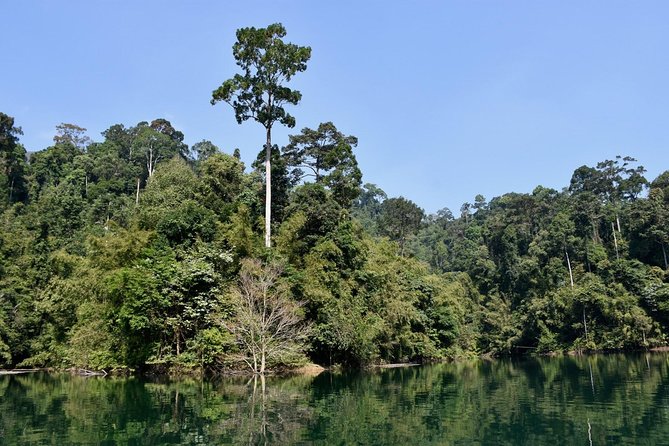 Full-Day Tour to Cheow Lan Lake in Khao Sok National Park from Krabi - Boarding the long-tail boat at Cheow Lan Dam