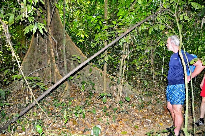 Full-Day Tour to Cheow Lan Lake in Khao Sok National Park from Krabi - How active is the day really?