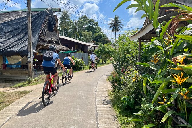 Guided Mountain Biking - Grand Tour - Trails of Ao Nang - Key points to know before you book