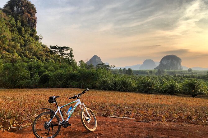 Guided Mountain Biking - Grand Tour - Trails of Ao Nang - What the $96.48 price delivers