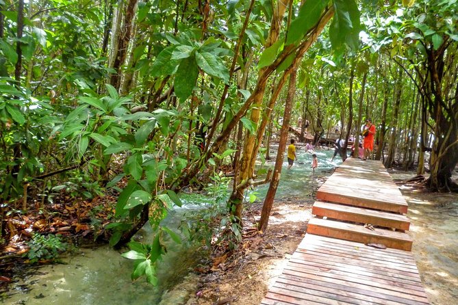 Half-Day Jungle Tour Including Crystal Pool and Krabi Hot Springs - The jungle route to Emerald Pool and Crystal Pool