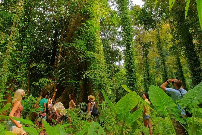 Half-Day Jungle Tour Including Crystal Pool and Krabi Hot Springs - What is included, and what you still pay