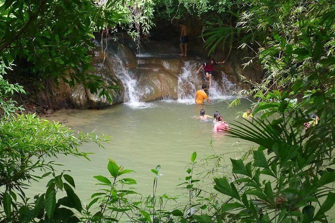 Half-Day Jungle Tour Including Crystal Pool and Krabi Hot Springs - The guide, group size, and level of activity