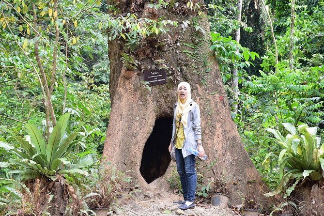Half-Day Jungle Tour Including Crystal Pool and Krabi Hot Springs - Booking advice and cancellation terms
