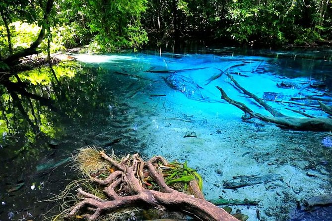 Half Day Jungle Tour to Emerald pool and Krabi Hot Spring - What this Krabi jungle outing really offers