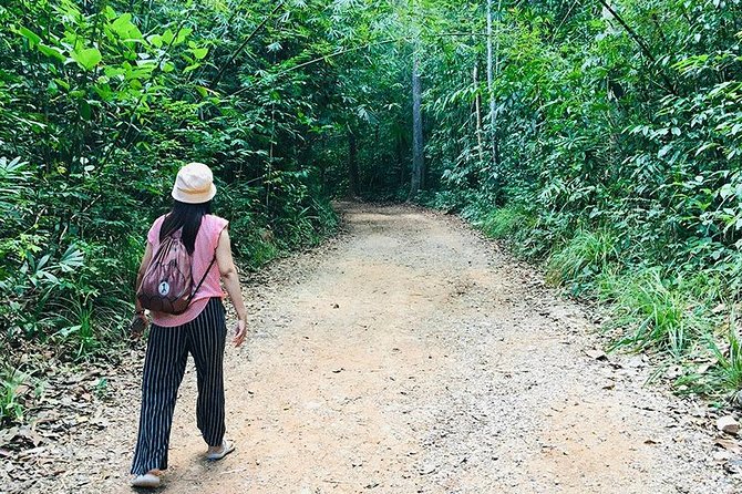 Half Day Jungle Tour to Emerald pool and Krabi Hot Spring - The rainforest walk to Emerald Pool