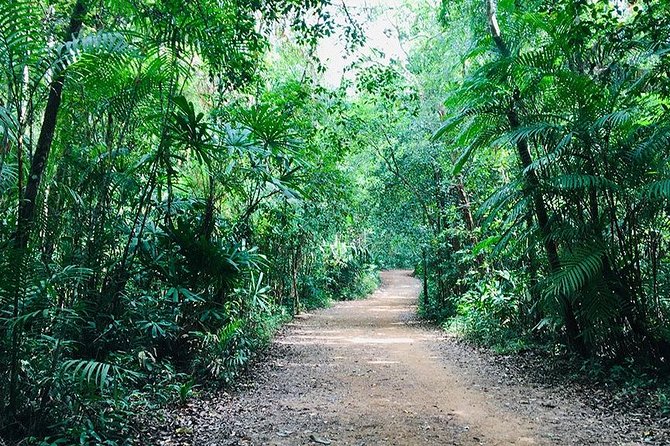 Half Day Jungle Tour to Emerald pool and Krabi Hot Spring - A beautiful place with a crowded edge