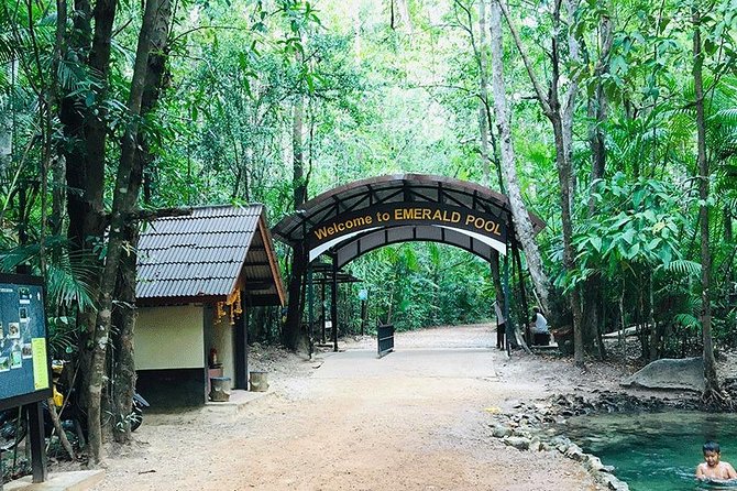 Half Day Jungle Tour to Emerald pool and Krabi Hot Spring - What to bring for the pools and forest