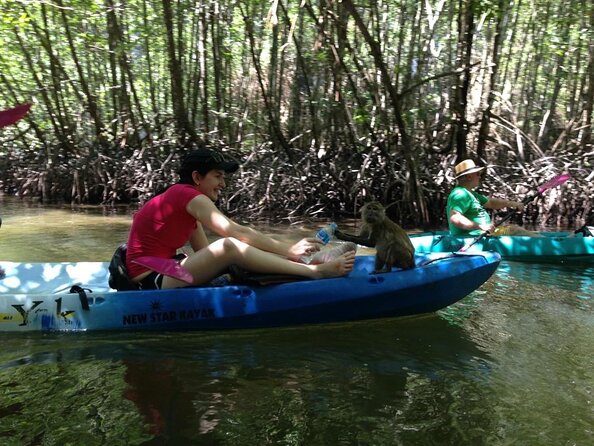 Half Day Kayaking at Ao Thalane Krabi - Key points to know before you book