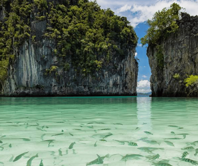 Hong Islands One Day Tour plus Panoramic View - What the guide and boat service add