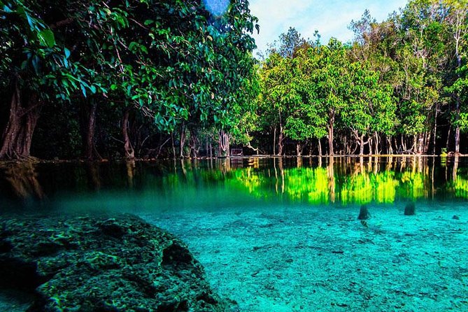Jungle Tour to Emerald Pool, Krabi Hot Spring and Tiger Cave Temple - Three Krabi sights in one long day