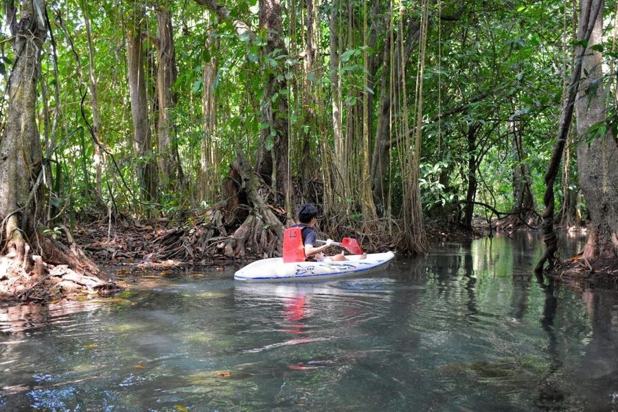 Kayaking and swiming klongrood - The 30-Minute Paddle Through the Trees