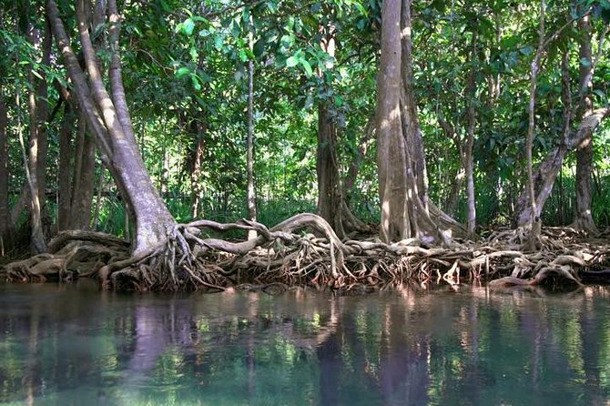 Kayaking in Ao Thalane - Discover the Mangrove life - A private day with room to change the order