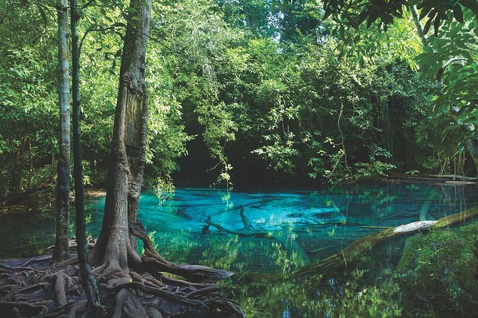 Kayaking in Ao Thalane - Discover the Mangrove life - Thapom Klong Song Nam and the meeting of fresh and salt water