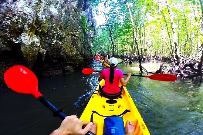 Kayaking in Ao Thalane - Discover the Mangrove life - Should you book Kayaking in Ao Thalane?