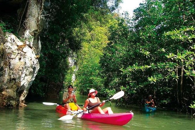 Kayaking in Ao Thalane - Discover the Mangrove life - Two hours among cliffs, roots, and mangrove channels