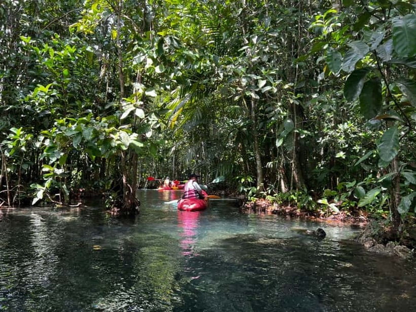 Klong Rud Kayaking with Hotel Transfer - Key points at a glance