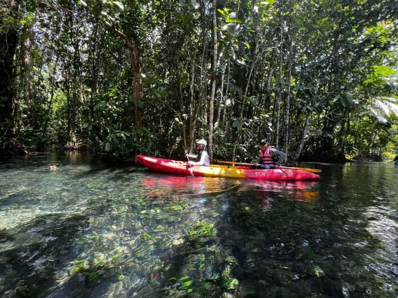 Klong Rud Kayaking with Hotel Transfer - Why Klong Nam Sai works as a short nature trip
